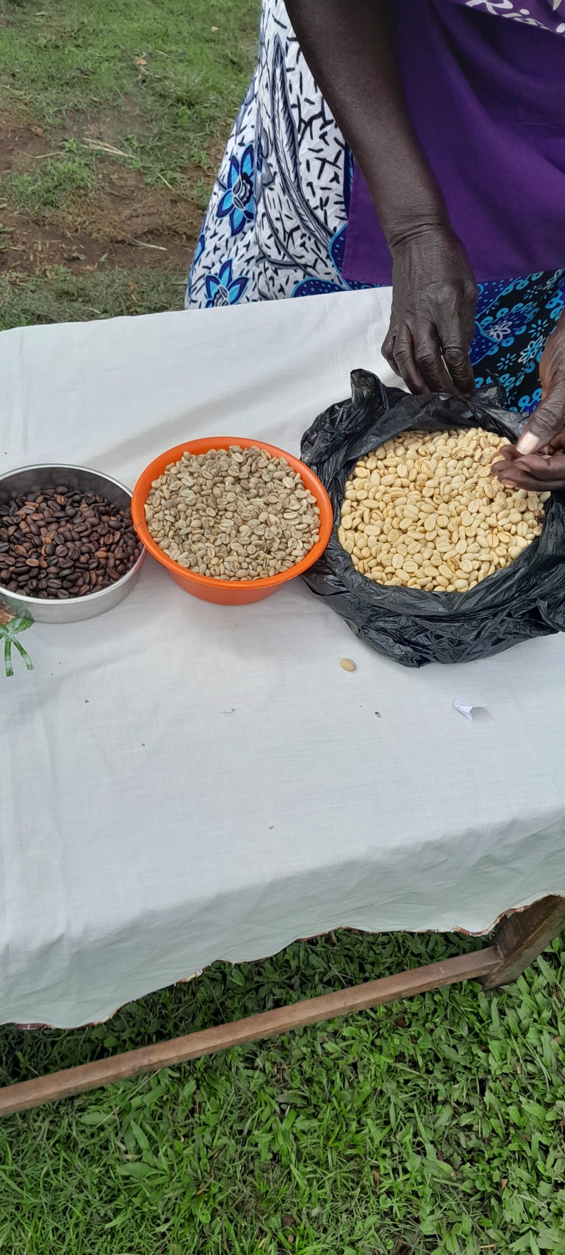 A cooperative member presenting graded coffee and groundnuts at a produce table